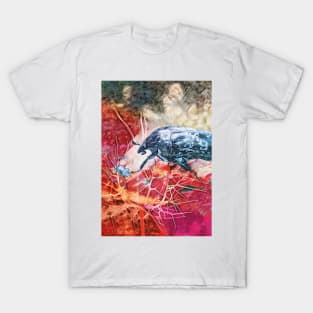 The Coloring of Beetles T-Shirt